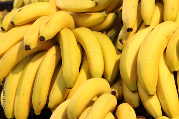 Fototapeta Ripe bananas piled in a pile. Yellow bananas on sale in a supermarket. Food. Grocery background. Bunch of ripe bananas on a street market