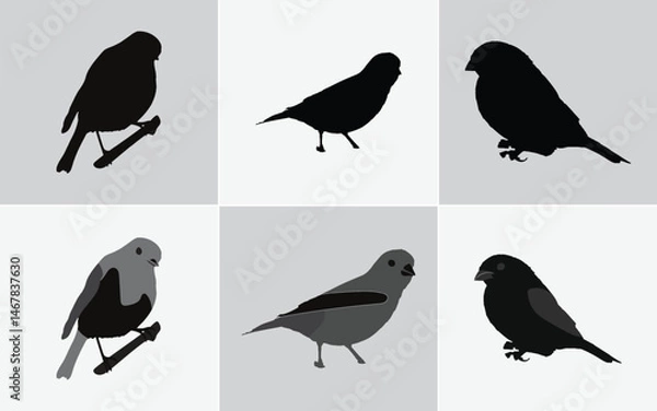 Fototapeta Six Minimalist Black Bird Silhouette Illustrations: Vector Icons for Web and Print Design, Black Bird Silhouettes Vector Set: Includes Finch, Sparrow, and Bunting Style Icons