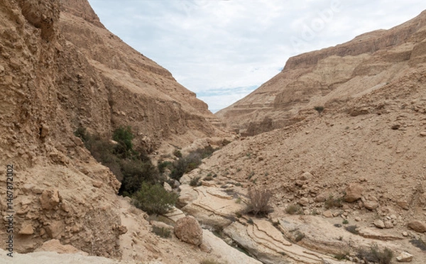 Fototapeta The unrivaled  splendor of nature in Arugot Stream Nature Reserve near the Dead Sea in the southern Israel