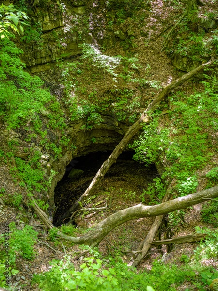 Obraz sinkhole in forest