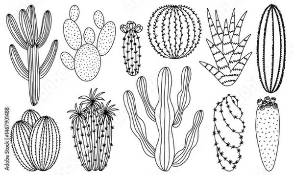 Obraz Cactus and succulents sketch vector set. Different cactuses and succulent home plants doodle set