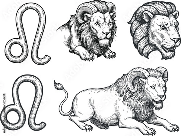 Fototapeta Hand-drawn engraving Leo zodiac symbols and lion illustrations in black and white