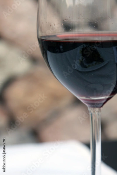 Obraz Red wine