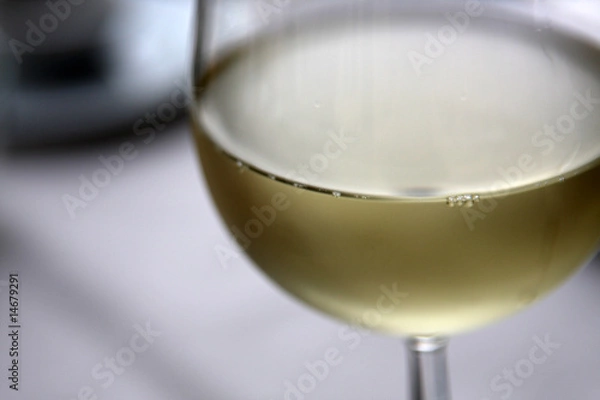 Obraz White wine