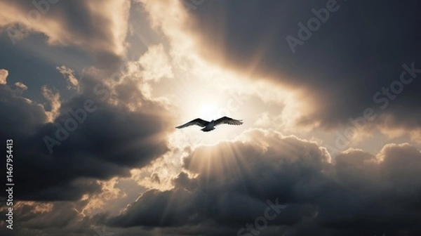 Fototapeta Soaring bird in a celestial light