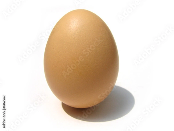 Obraz jajko