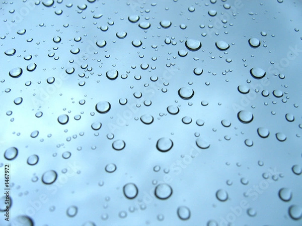 Obraz rain drops
