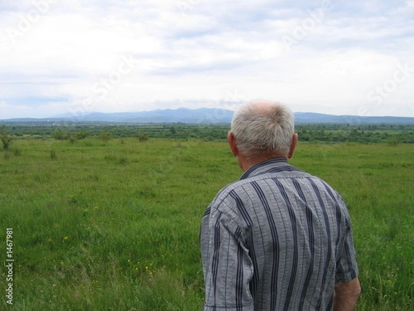 Obraz back home after 50 years