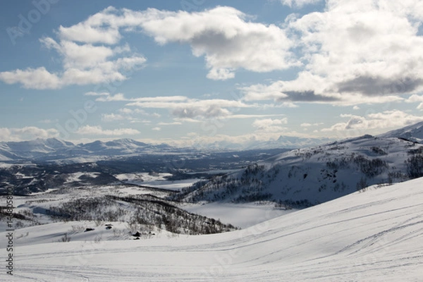 Fototapeta Winter landscape