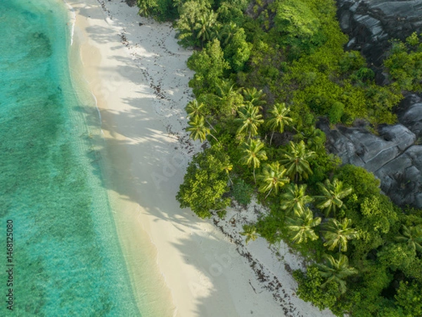 Fototapeta Aerial View, seychellen, Mahe, Port Glaud and Therese Isalnd
