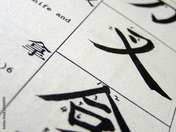 Obraz mandarin chinese