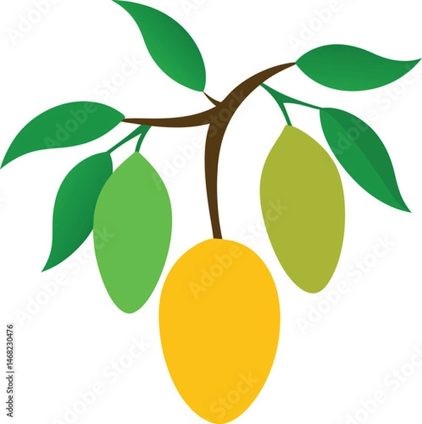 Fototapeta Tropical Mango Branch: A vibrant illustration of a mango branch, featuring ripe and unripe mangoes amidst lush green leaves, radiating freshness and the essence of the tropics.