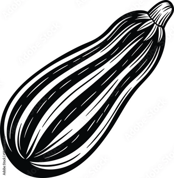 Fototapeta Zucchini Illustration: A detailed black and white illustration of a whole zucchini, featuring intricate line work and shading, ideal for culinary publications or farm-to-table branding. 