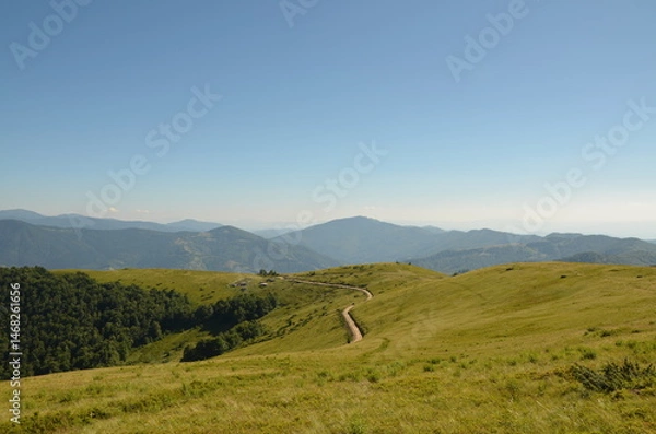Fototapeta Peaceful landscape featuring lush green hills and a clear blue sky, evoking a sense of tranquility and connection with nature in a beautiful outdoor setting. Carpathian Mountains, Ukraine