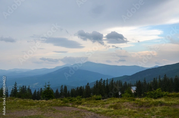 Fototapeta Quiet mountain view showcasing expansive ridges, dense pine trees, and dramatic cloudy skies at dusk. Carpathian Mountains, Ukraine