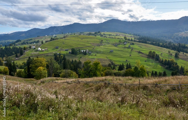 Fototapeta Idyllic rural scene featuring green grassy hills, scattered trees, and small country houses against a background of mountains under a cloudy sky. Carpathian Mountains, Ukraine
