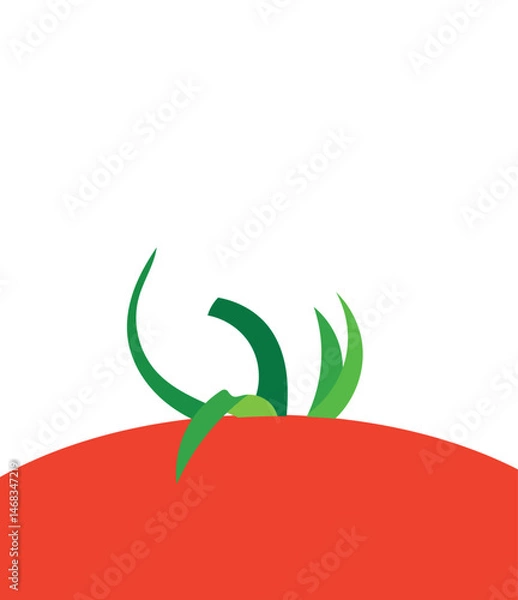 Fototapeta Design template background tomato vegetable unique