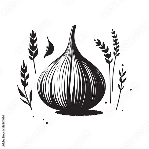 Obraz Garlic Clipart Vector Illustrations for Culinary and Design Projects
