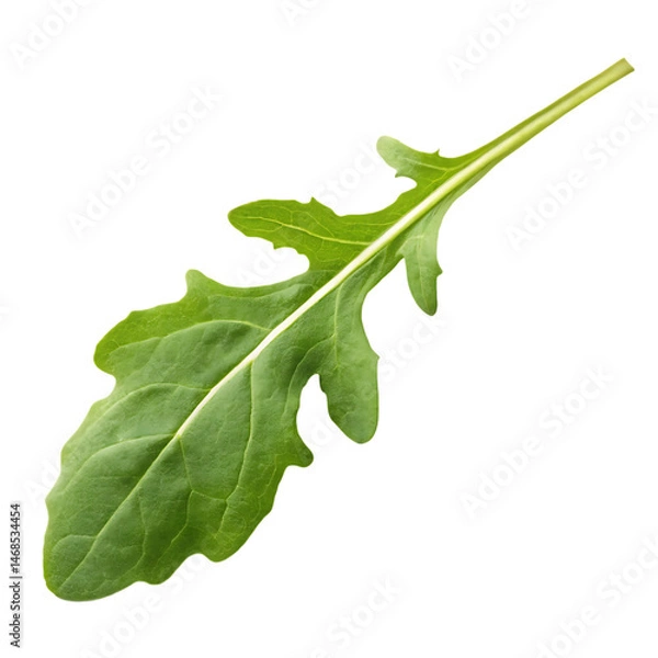 Fototapeta Arugula leaf isolated on a transparent background