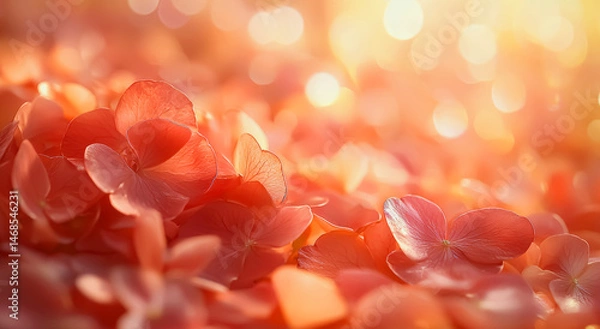 Fototapeta Valentines tender embrace with delicate petal overlays and subtle ombre blend of rose and cream, evoking the warmth of shared closeness beneath a canopy of pastel serenity background jpg