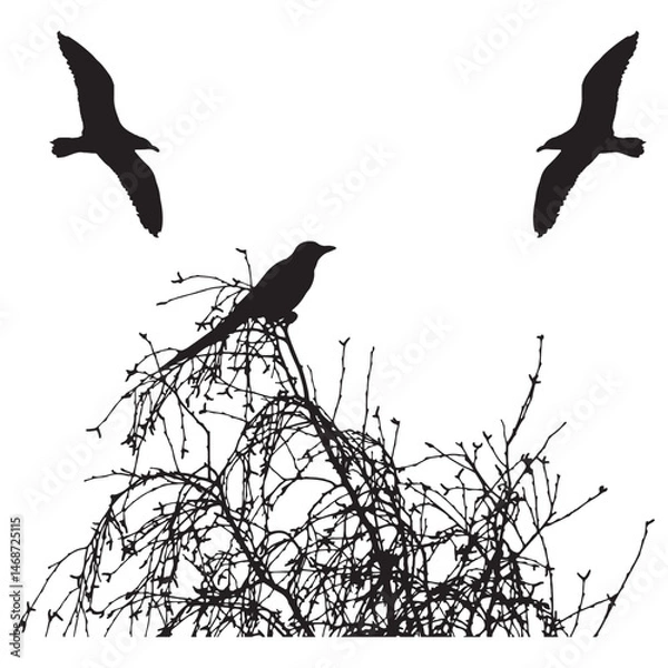 Obraz Nature-Inspired Bird Vector Design – Ideal for Wildlife and Nature-Themed Concepts .