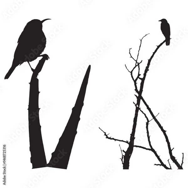 Obraz Nature-Inspired Bird Vector Design – Ideal for Wildlife and Nature-Themed Concepts .