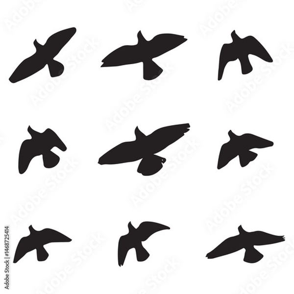 Obraz Nature-Inspired Bird Vector Design – Ideal for Wildlife and Nature-Themed Concepts .