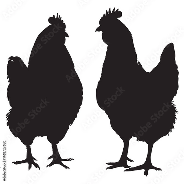 Obraz High-Quality and Realistic Chicken Vector Illustration  Perfect for Farm, Food Branding, and Agricultural Projects . 