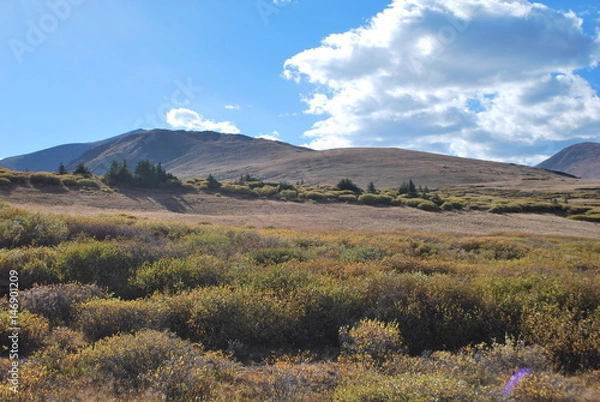 Obraz mountain views