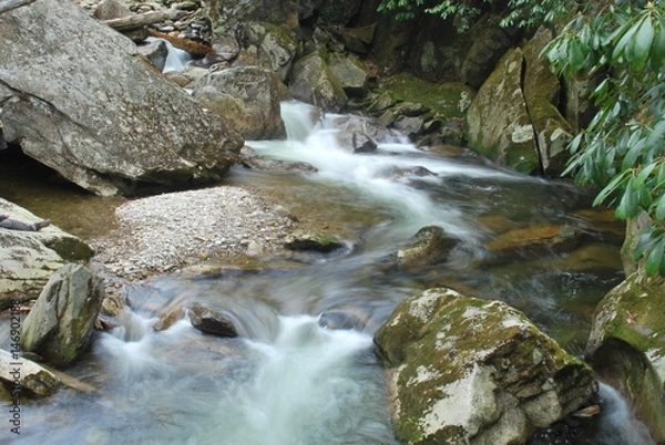 Obraz river and stream