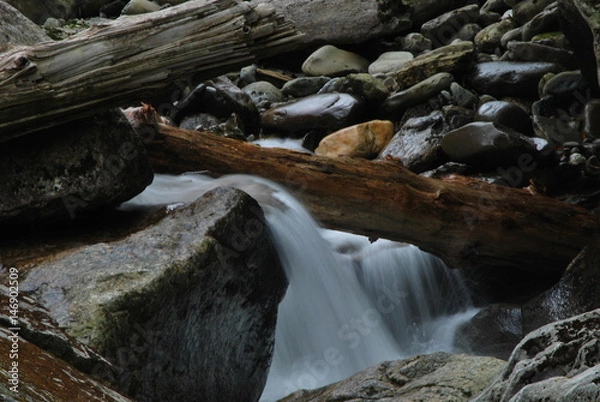 Obraz river and stream