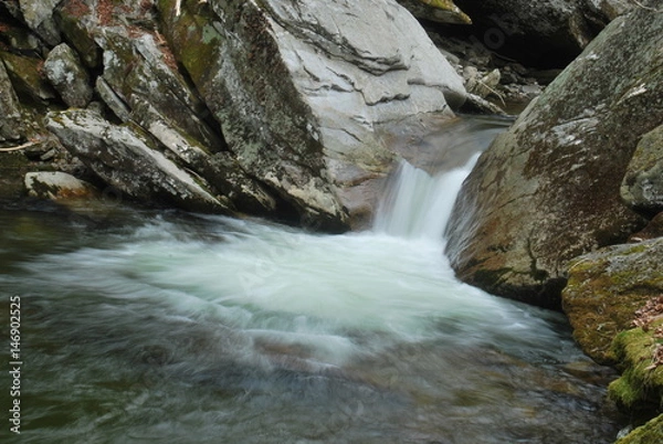 Obraz river and stream