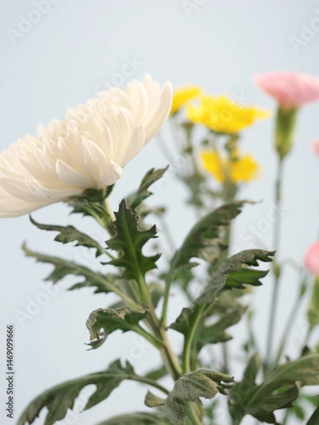 Obraz 仏花(菊、シマカンギク、カーネーション)