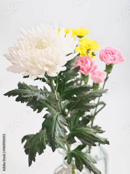 Obraz 仏花(菊、シマカンギク、カーネーション)