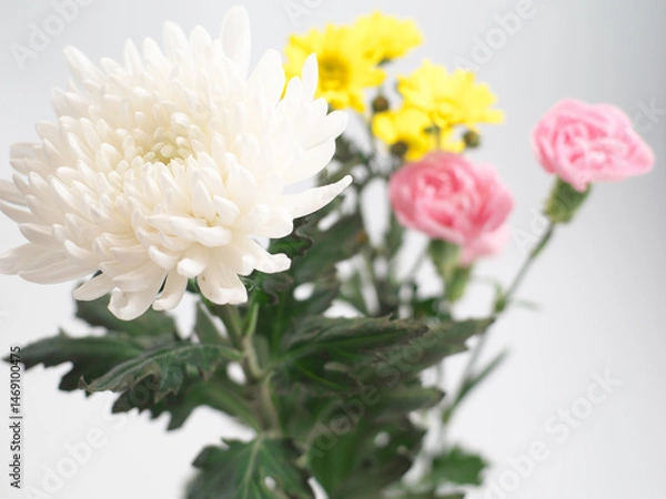 Obraz 仏花(菊、シマカンギク、カーネーション)