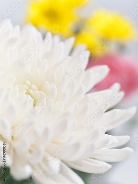 Obraz 仏花(菊、シマカンギク、カーネーション)