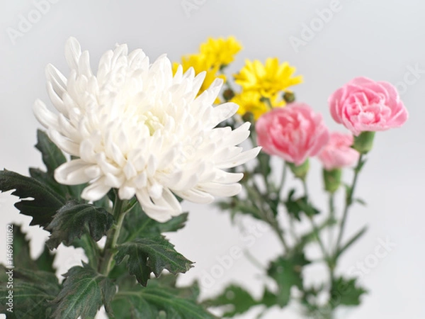 Obraz 仏花(菊、シマカンギク、カーネーション)