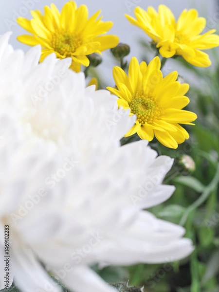 Obraz 仏花(菊、シマカンギク、カーネーション)