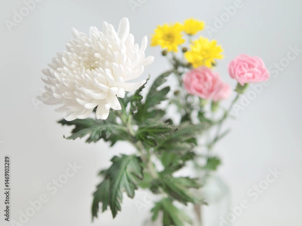 Obraz 仏花(菊、シマカンギク、カーネーション)