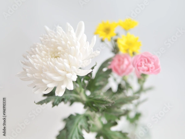 Obraz 仏花(菊、シマカンギク、カーネーション)