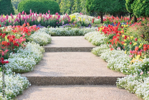Fototapeta Walkway in the garden with colorful flower in the summer season.