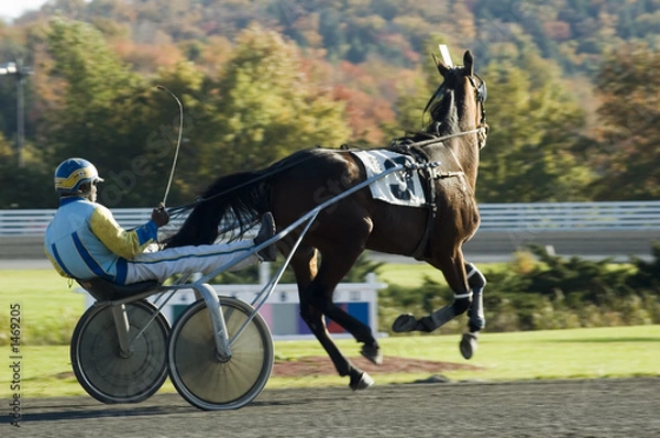Obraz breaking stride