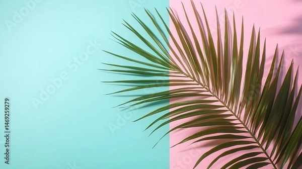 Fototapeta Palm leaf on a pastel pink and blue background