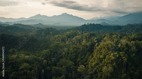 Obraz Lush green rainforest canopy stretching towards hazy mountain peaks