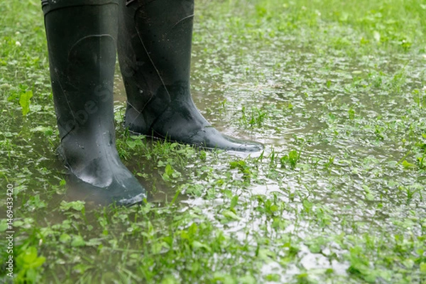 Fototapeta Household flooding causing standing water in the yard while wearing rubber boots in rainy conditions