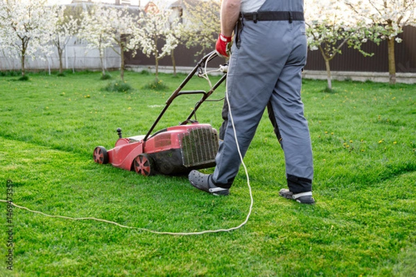 Fototapeta Lawn care in springtime with a homeowner mowing grass in a landscaped garden setting