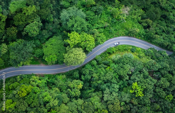 Obraz Electric cars to protect the environment and transportation road of Aerial view of a road in the middle of the forest , road curve construction up to mountain
