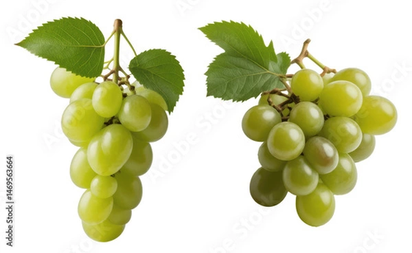 Fototapeta Two Bunches of Green Grapes with Leaves, Isolated on Transparent Background