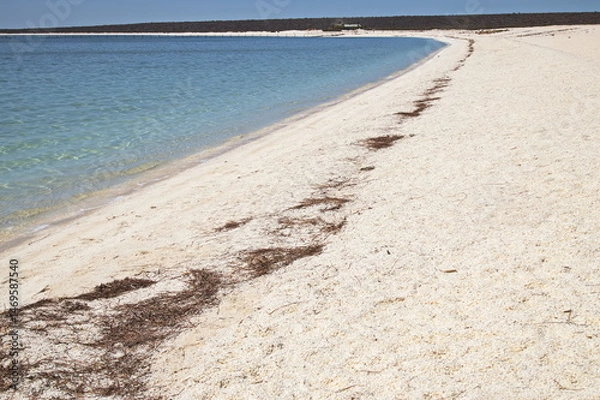 Fototapeta Shell Beach at Denham, Western Australia, Australia
