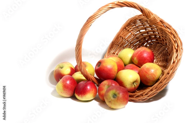 Fototapeta cornucopia